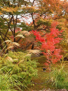 PB242206shuusei.JPG