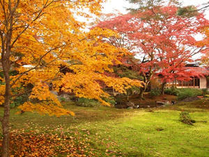 PB242220shuusei.JPG