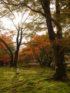 PB242222shuusei.JPG