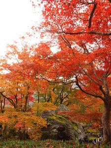 PB242240shuusei.JPG