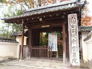 PB242263shuusei.JPG