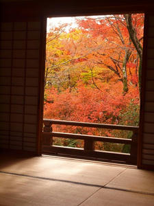 PB242287shuusei.JPG
