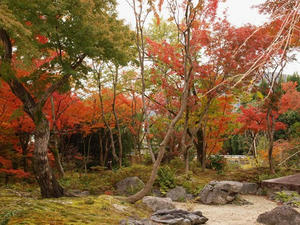 PB242299shuusei.JPG
