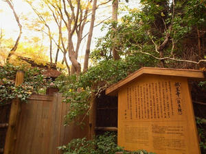PB242339shuusei.JPG