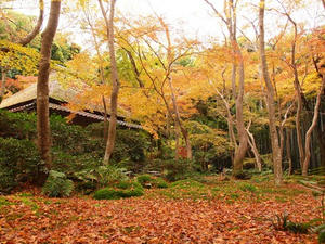 PB242342shuusei.JPG