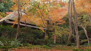 PB242356shuusei.JPG