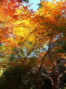 PC025136shuusei.JPG