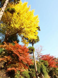 PC025184shuusei.JPG
