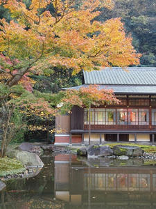 PC025191shuusei.JPG