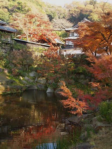 PC025216shuusei.JPG
