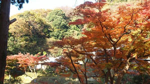 PC025248shuusei.JPG