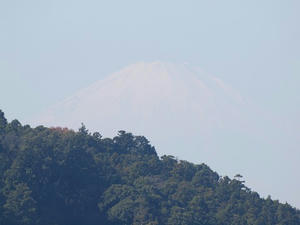 PC025313shuusei.JPG