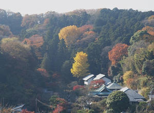 PC025309shuusei.JPG