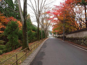 PB242413shuusei.JPG