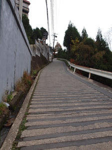 PB242415shuusei.JPG