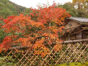 PB242427shuusei.JPG