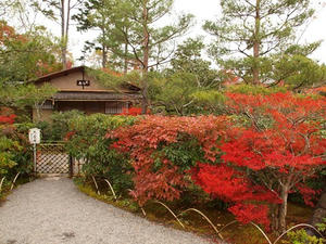 PB242433shuusei.JPG