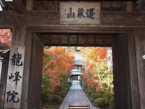 PC025371shuusei.JPG