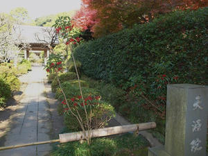 PC025375shuusei.JPG