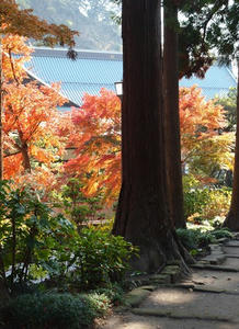 PC025373shuusei.JPG