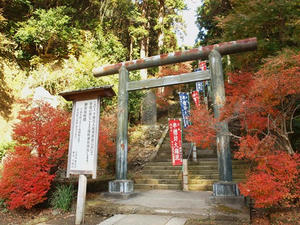 PC025382shuusei.JPG