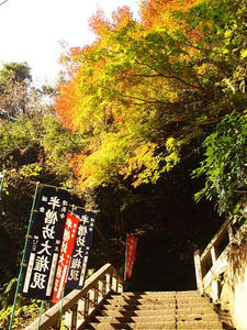 PC025384shuusei.JPG