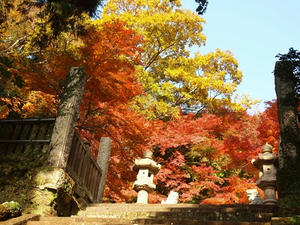 PC025393shuusei.JPG