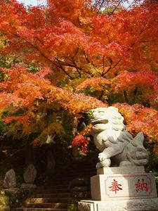 PC025402shuusei.JPG