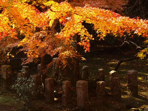 PC025411shuusei.JPG
