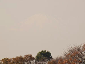 PC025438shuusei.JPG