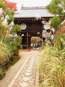 PB242463shuusei.JPG