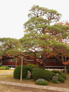 PB242468shuusei.JPG