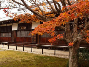 PB242474shuusei.JPG