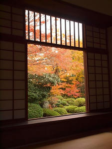 PB242487shuusei.JPG