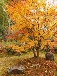 PB242526shuusei.JPG