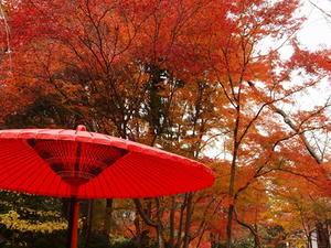 PB242529shuusei.JPG