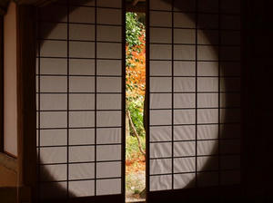 PB242544shuusei.JPG