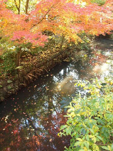 PC025487shuusei.JPG