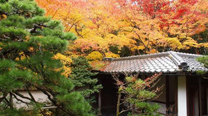 PB242648shuusei.JPG