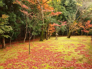 PB242654shuusei.JPG
