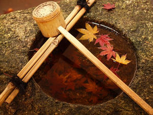 PB242657shuusei.JPG