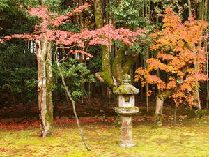 PB242659shuusei.JPG