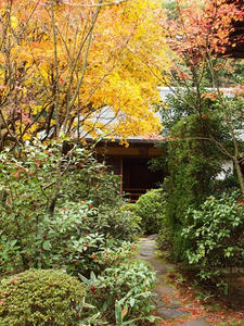 PB242660shuusei.JPG