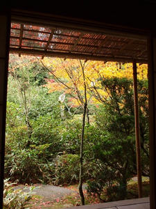 PB242671shuusei.JPG