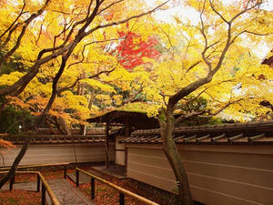 PB242684shuusei.JPG