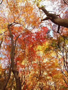 PC025521shuusei.JPG