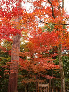 PB242702shuusei.JPG