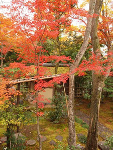 PB242711shuusei.JPG