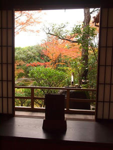 PB242714shuusei.JPG