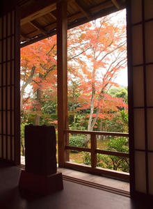 PB242715shuusei.JPG